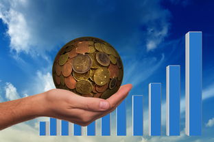 揭秘险资青睐高股息股票的真正原因，险资持股的股票好不好